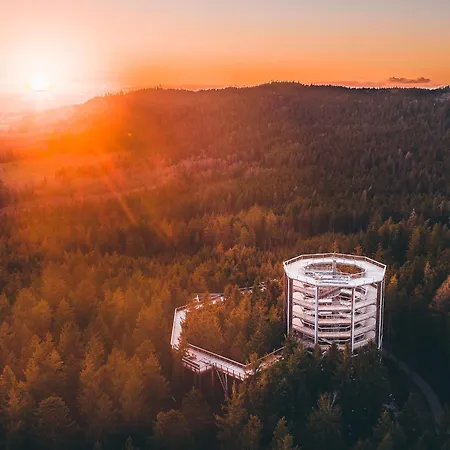 Molo Lipno Luxusni 4kk Apartment *